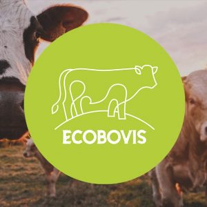 ecobovis