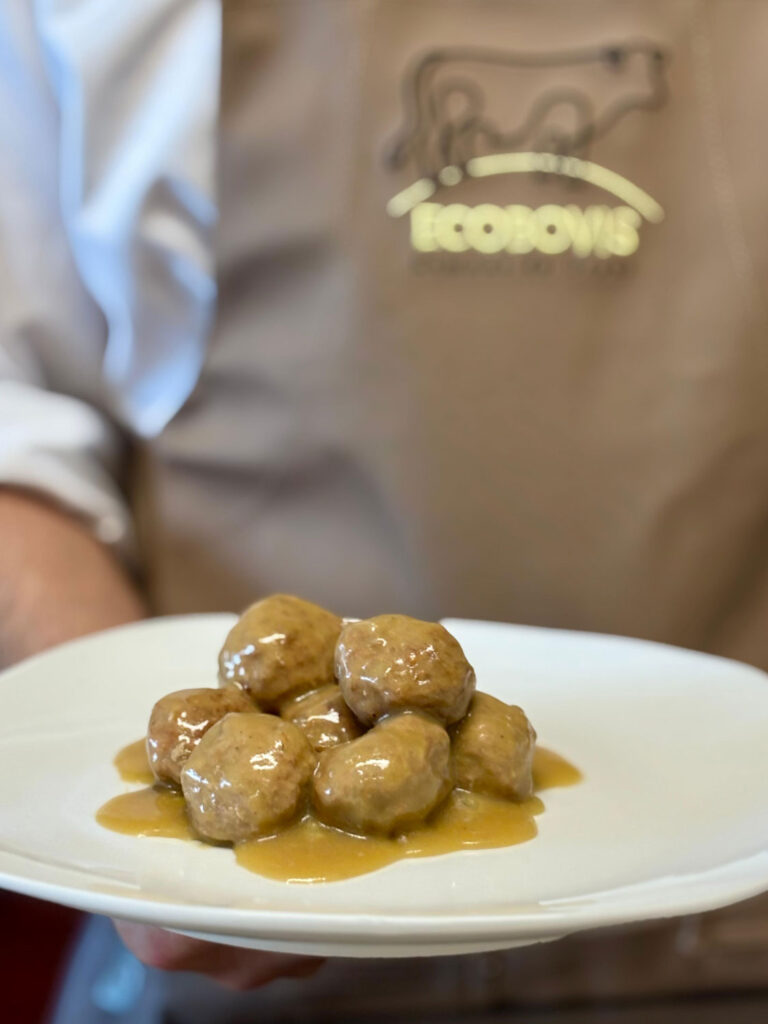 albondigas ecologicas ecobovis
