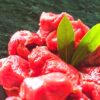 ragout, ternera ecologica